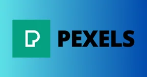 pexels interface screenshot